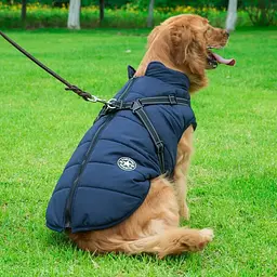 Світловідбивна зимова куртка для собак Tibetan Blue - мініатюра 2