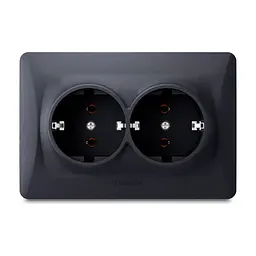Розетка Videx BINERA 2ая с заземлением черн (VF-BNSK2G-BG)