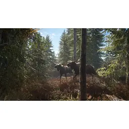 Ключ активації Microsoft TheHunter: Call of the Wild - Reserve Bundle для Xbox One/Series - мініатюра 9