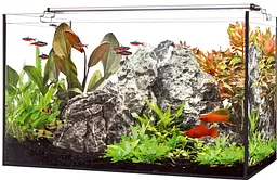Акваріумний комплект LED AQUARIUM 40, 25л, 40×25×25см 