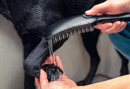 Ручний душ Hansgrohe DogShower 150 3Jet Matt Black 26640670, Чорний матовий - мініатюра 4