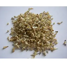Цефалофора Насіння Сунична Трава Геленіум ароматний Helenium aromaticum
