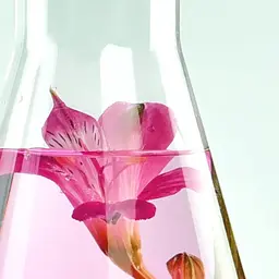 Сироватка з пребіотиками для проблемної шкіри обличчя Miya Cosmetics Beauty Lab Serum With Prebiotics For Problem Skin 30 мл - мініатюра 3