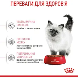 Сухий корм для кошенят Royal Canin Kitten м'ясо птиці та рис 0.4 кг - мініатюра 4