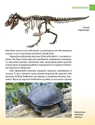 Найнебезпечніші істоти планети. Енциклопедія для допитливих - Андрій Гапченко - мініатюра 10
