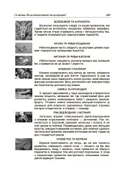 Тематичні дні у 4-му класі. Посібник для вчителя. - мініатюра 7