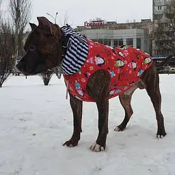 Жилет Smart Pet Пінгвін