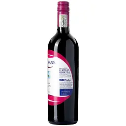 Вино Two Oceans Soft and Fruity червоне напівсухе 12.5% 0.75 л - мініатюра 2