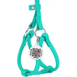 Шлея з повідцем для собак Waudog Glamour, шкіряна, кругла, з QR паспортом, 26-46х30-50х0,6/105 см, ментоловий (340113) - мініатюра 2