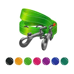 Повідець для собак WAUDOG Nylon Mono світловідбивний М салатовий (46485) - мініатюра 5