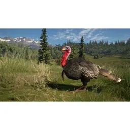 Ключ активації Microsoft TheHunter: Call of the Wild - Diamond Bundle для Xbox One/Series - мініатюра 7