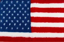 Килимок Jackson Textiles Non-Slip USA 80х96 см (JT-019) - мініатюра 2