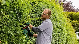Кущоріз AdvancedHedgeCut 65 500Вт 65см крок різу 34мм 5.62кг Bosch sad0001718
