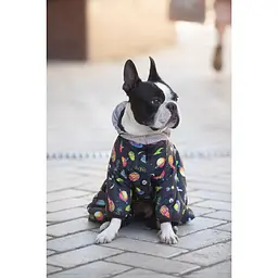 Комбінезон для собак Waudog Clothes, Рік та Морті 2, XS30 - мініатюра 5