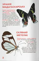 Велика книжка. Комахи - Олег Зав'язкин - мініатюра 2