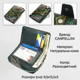 Жіноче фактурне вертикальне портмоне з монетницею на блискавці з натуральної шкіри з тисненням під змію Canpellini 21732 різнокольорове - мініатюра 3
