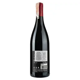Вино Villalta Apulese Appassimento, червоне, сухе, 14,5%, 0,75 л - мініатюра 2