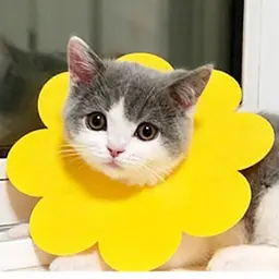 Захисний комір для котів Derby Sunflower Yellow, S
