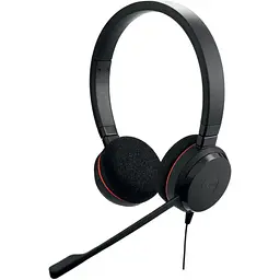 Комп'ютерна гарнітура Jabra Evolve 20 Stereo USB C/A MS (4999-823-169) [152289]