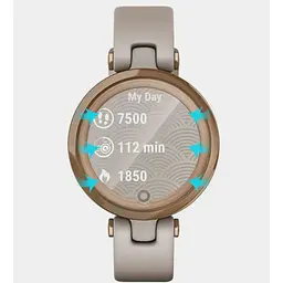 Захисна плівка DK Composite Film box для Garmin Lily (gold) - мініатюра 2