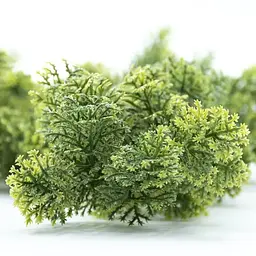 Штучна гілка Engard Houttuynia Cordata 65cм (AV-04) - мініатюра 6
