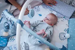 Дитячий килимок MoMi Pastel розвиваючий (MAED00017) - мініатюра 8