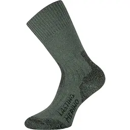 Шкарпетки Lasting TXC 620 Green L (LST-TXC620L)