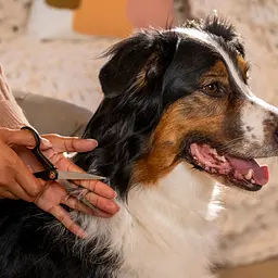 Ножиці для підрівнювання Fiskars Pet Care (2009126) - мініатюра 4