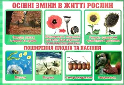 Тека вчителя. Зміни. 2 клас - мініатюра 2