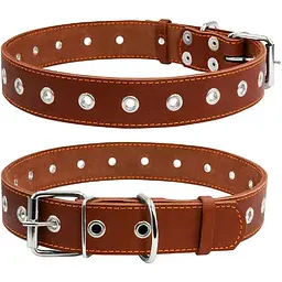 Нашийник для собак Collar безрозмірний