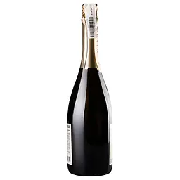 Вино ігристе Shabo Classic, напівсолодке, 13,5%, 0,75 л (465774) - мініатюра 2