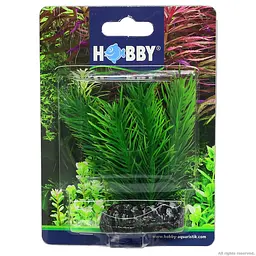 Штучна рослина Hobby Mayaca 7 см (51584) - мініатюра 4