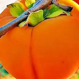 Саджанець Agro-Market Хурма на віргінській морозостійкій підщепі Зенджи мару (Шоколадниця) вищий сорт! (35901) 1 шт. в упаковці - мініатюра 9