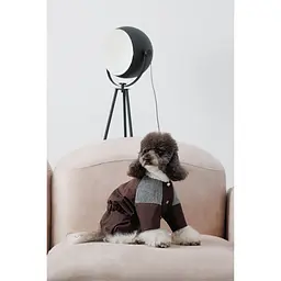 Костюм для собак Pet Fashion Locky М2 коричневий - мініатюра 4