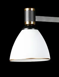 Люстра стельова Splendid Ray LGH50230A/3, 3 лампи E27, 50 см, чорний, білий, золото, сучасний стиль для дому - мініатюра 2