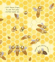Lift-the-Flap First Questions & Answers: Why Do We Need Bees? - мініатюра 7