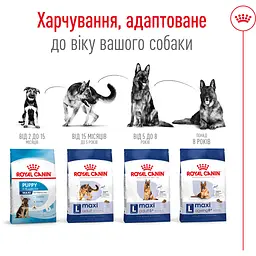 Сухий корм Royal Canin Maxi Adult для дорослих собак великих порід з м'ясом птиці та кукурудзою 15 кг - мініатюра 6