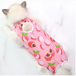 Одяг для котів після операції Holley Litchi S - мініатюра 3