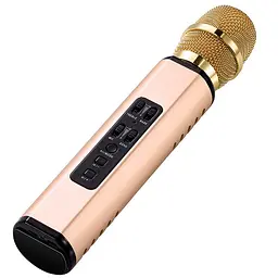 Бездротовий караоке-мікрофон Losso K6 Premium з вбудованим динаміком і Bluetooth Gold (18960)