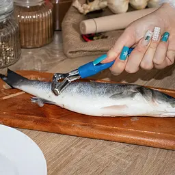 Рибочистка ніж для чищення риби з пластиковою ручкою 15 см, Kitchette Синій 85814