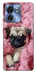TPU чохол Demsky Мопс у ніжностях для Motorola Edge 40