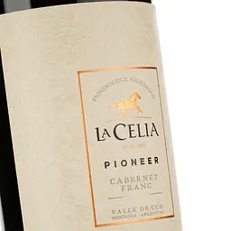 Вино Finca La Celia Pioneer Cabernet Franc, червоне, сухе, 14%, 0,75 л (8000019987926) - мініатюра 3