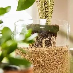 Субстрат Compo Bio Granuplant для кімнатних рослин 6 л (8818) - мініатюра 6