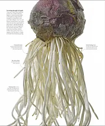 The Science of Plants - мініатюра 4