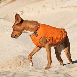 Жилет для собак Pet Fashion E.Vest SM помаранчевий - мініатюра 3