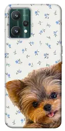 TPU чохол Demsky Cute Yorkie для Realme 9 Pro