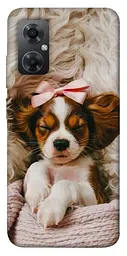 TPU чохол Demsky Sleepy spaniel для Xiaomi Redmi Note 11R
