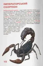 Велика книжка. Павуки - Олег Зав'язкин - мініатюра 4