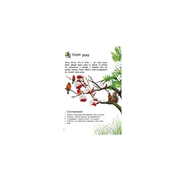 Книга Природа. Енциклопедія дошкільника - Юлія Каспарова Ранок (9786170928313) - мініатюра 3