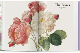 Redouté. The Book of Flowers - мініатюра 4